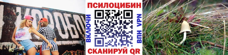 где можно купить   Змеиногорск  Галлюциногенные грибы мухоморы 